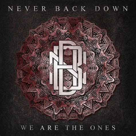 we are the ones lyrics quality control